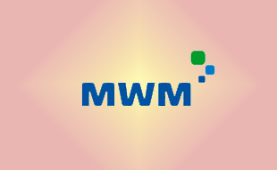 ✓ MWM 51083040015 Фильтр воздушный 